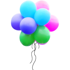Holidays and Special Occasions